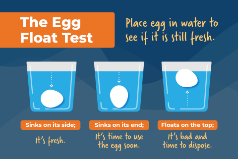 Egg Float Test