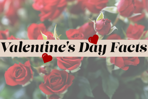 Valentine's Day Facts